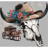 Country music-CM-1329